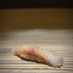 弐ノ蔵 - ヒラスズキ