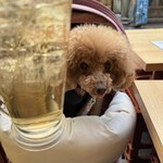 大衆酒場 晩杯屋 - かんぱーい