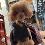 大衆酒場 晩杯屋 - きゃわいいねぇ