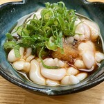 酒肴 こだるま - 