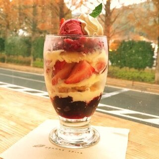 オレンジスパイス_0