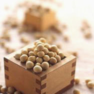 豆腐料理 空野_1