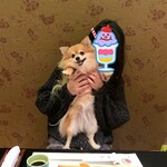 四季の味 喜膳 - 