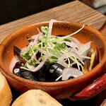 ESOLA - 