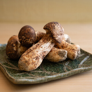 産地の移ろいと状態を読み、最適を選ぶ