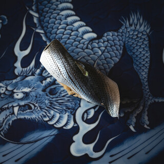 握りの形で魚の“動き”を表現する