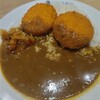 CURRY HOUSE CoCo壱番屋 田無駅南口店