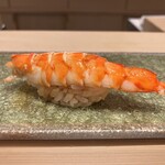 鮨 ひろ海 - 車海老