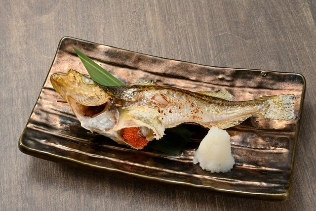 RESTAURANT 7's knot（レストラン セブンズノット） - 能代（居酒屋）の写真