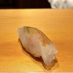 鮨 はしもと - カワハギ 肝付 大分より