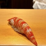 鮨 はしもと - 車海老