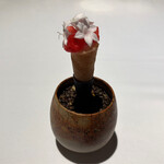 ラ・ヴァガボンド - 