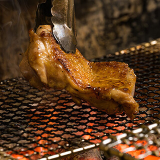 暁タップス ビアロバタ_0