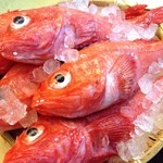 その時季おすすめの旬の魚の煮付け各種