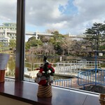 カフェ・ハーモニー - 