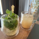 78 フヅキ ヤオカ - 