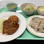 東京大学 中央食堂 - キャンパスランチ（チーズメンチ、510円）