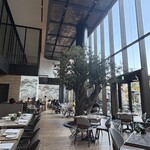 ジャヌ メルカート - 