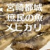 鶏だしおでん時々肴 雷田 - 宮崎に来たら…先ずはメヒカリ食べなきゃ！