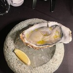 XEX ATAGO GREEN HILLS / Salvatore Cuomo Bros. - 生牡蠣　デカい！