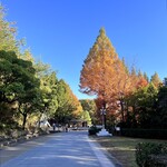 野外民族博物館リトルワールド - 