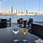 International cuisine subzero - 