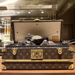 スガラボヴィー - 