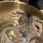 ホルモン船 ホールちゃん - 