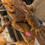 日本料理 かしづき - 本日 6人で頂く大きなズワイガニ。
