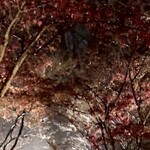 寺家 ひらさわ - 