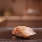 広島 鮨 まつもと - 