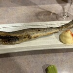 居酒屋 ほがら家 - 氷下魚