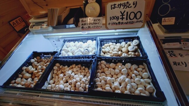 マッシュルームスタンド舟形 - 長沢（カフェ）の写真