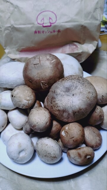 マッシュルームスタンド舟形 - 長沢（カフェ）の写真