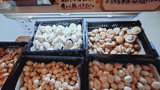 マッシュルームスタンド舟形 - 長沢（カフェ）の写真