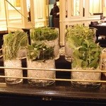 ガストロノミー ジョエル・ロブション - Oct, 2014　ハーブティワゴン