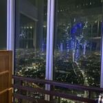 SKY GARDEN 300 - 