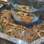 かに道楽 奈良橿原店 - 