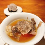 ブラチェリア カクタス - 