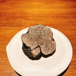 ブラチェリア カクタス - 