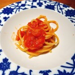 ブラチェリア カクタス - 