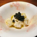 ブラチェリア カクタス - 