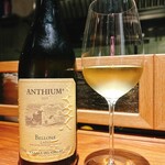 ブラチェリア カクタス - 