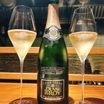 ブラチェリア カクタス - 