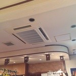 ペッパー - 201412  ペッパー  天井