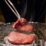 니혼바시 닌교초 케야키