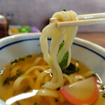 定食 ほげ - うどんの麺｡