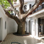 The Terrace - 中庭