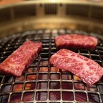 大東園 離 祇園亭