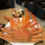 丸花 - 